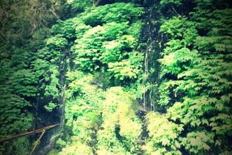 癒しと涼を求めてお気に入りの場所へ