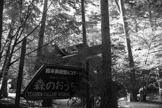 森の中の美術館に立ち寄りました　～カフェ ポラーノ