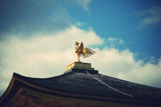 エクストリーム京都世界遺産の旅～金閣寺こと鹿苑寺