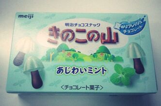 夏の楽しみはね。ミントくらいしかないんですよ。