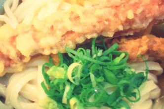 食欲がないので冷やしうどんをたべました