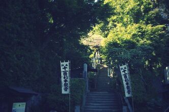 何となく日帰り一人旅～旅の終わりは杉本寺