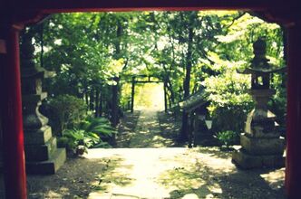 大分で史跡（神社仏閣）巡り～弥栄神社