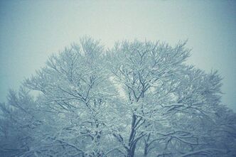 2012年滑り納はHAKUBA47&白馬五竜