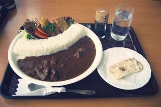 カレー好きな私のランチは黒部ダムカレーで開幕