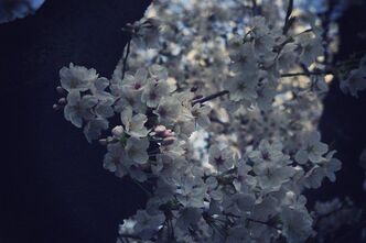 ぶらり六義園