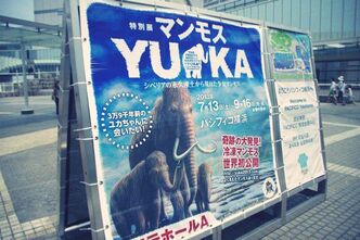マンモスゆかたんを見に横浜へ...。