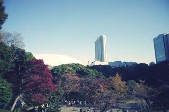 紅葉を見に小石川後楽園へ行ってきました