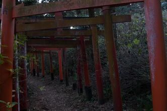田浦の魔界？白赤稲荷神社へ行ってきました