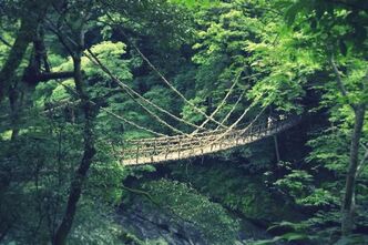 奇橋「祖谷のかずら橋」を渡る