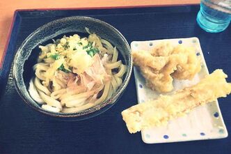 ウン十年ぶりに金毘羅宮へお参りしました