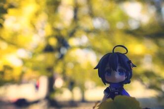 たのしいロケ撮影