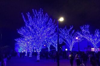 光のdestination