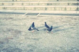 もう2年