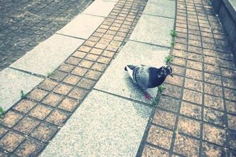 ほどよく距離をとる
