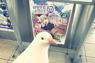 いざ舞鶴へ