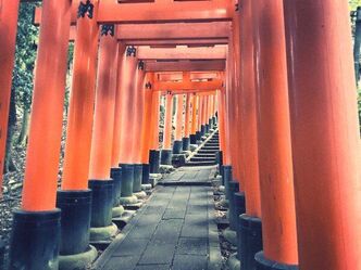 京都一人旅 3日目