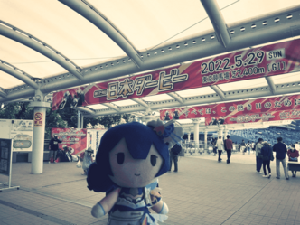 初めての競馬