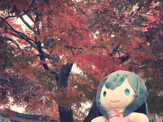 感情の整理