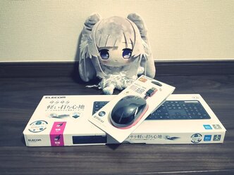 ヨドバシカメラで仕事用＆リモートワーク用のキーボードとマウスを購入