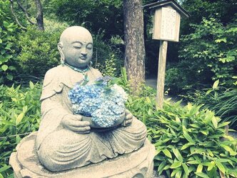 明月院の紫陽花