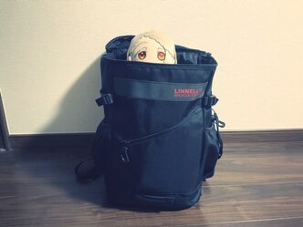 セブでのリモートワークに向けて、ExpressVPNを導入