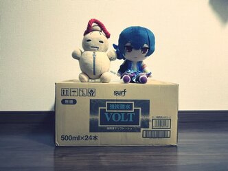 失効間際のPayPayポイントで炭酸水を購入