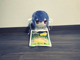ドライマンゴーの濁点から始まった、セブ移住とコンドミニアムを巡る思考と解像度