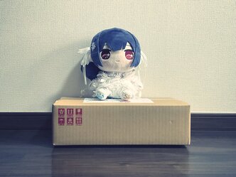 注文を失念していたプラモデルの到着と、趣味のタスク化のサムネイル画像