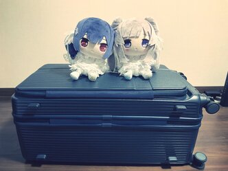 セブ島へ～4回目の渡航と最初のミッション～のサムネイル画像