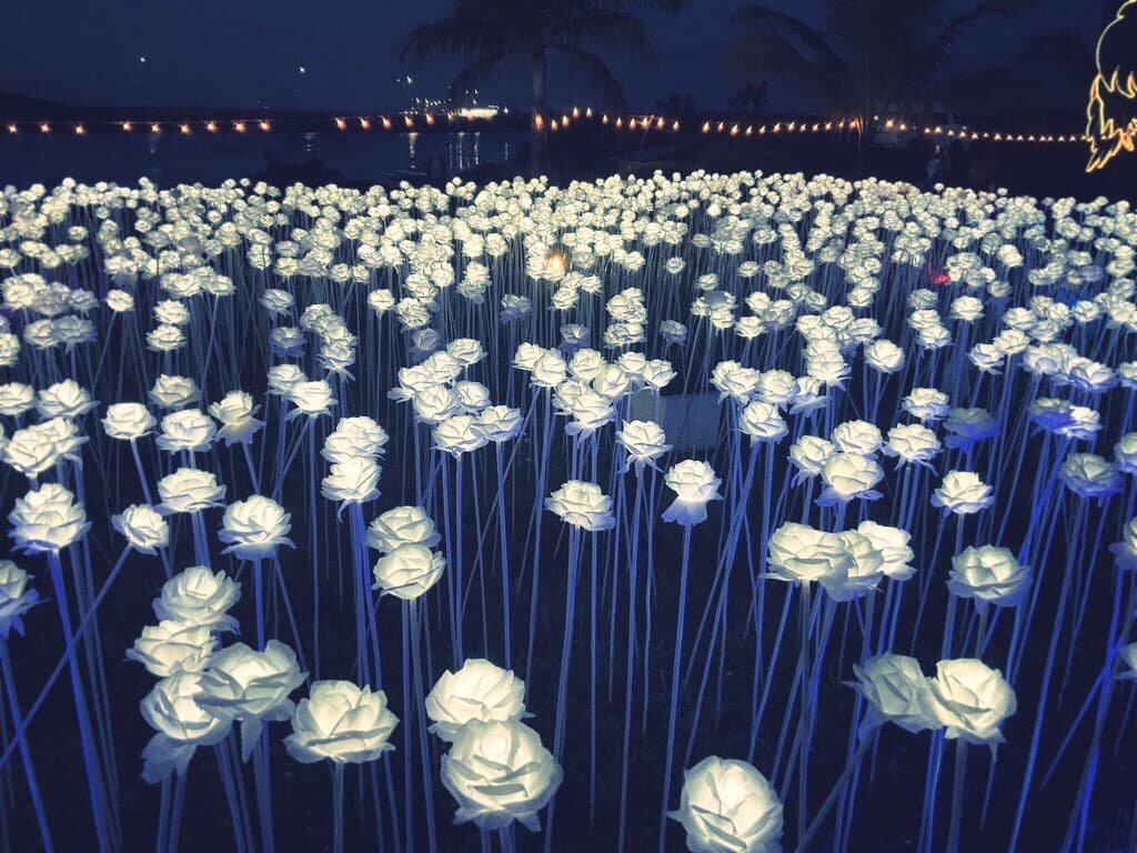 「10000 Roses Cafe & More」へ行きました。