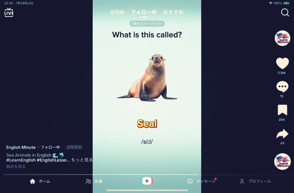 彼女が勧めたTiktokでの英語学習法