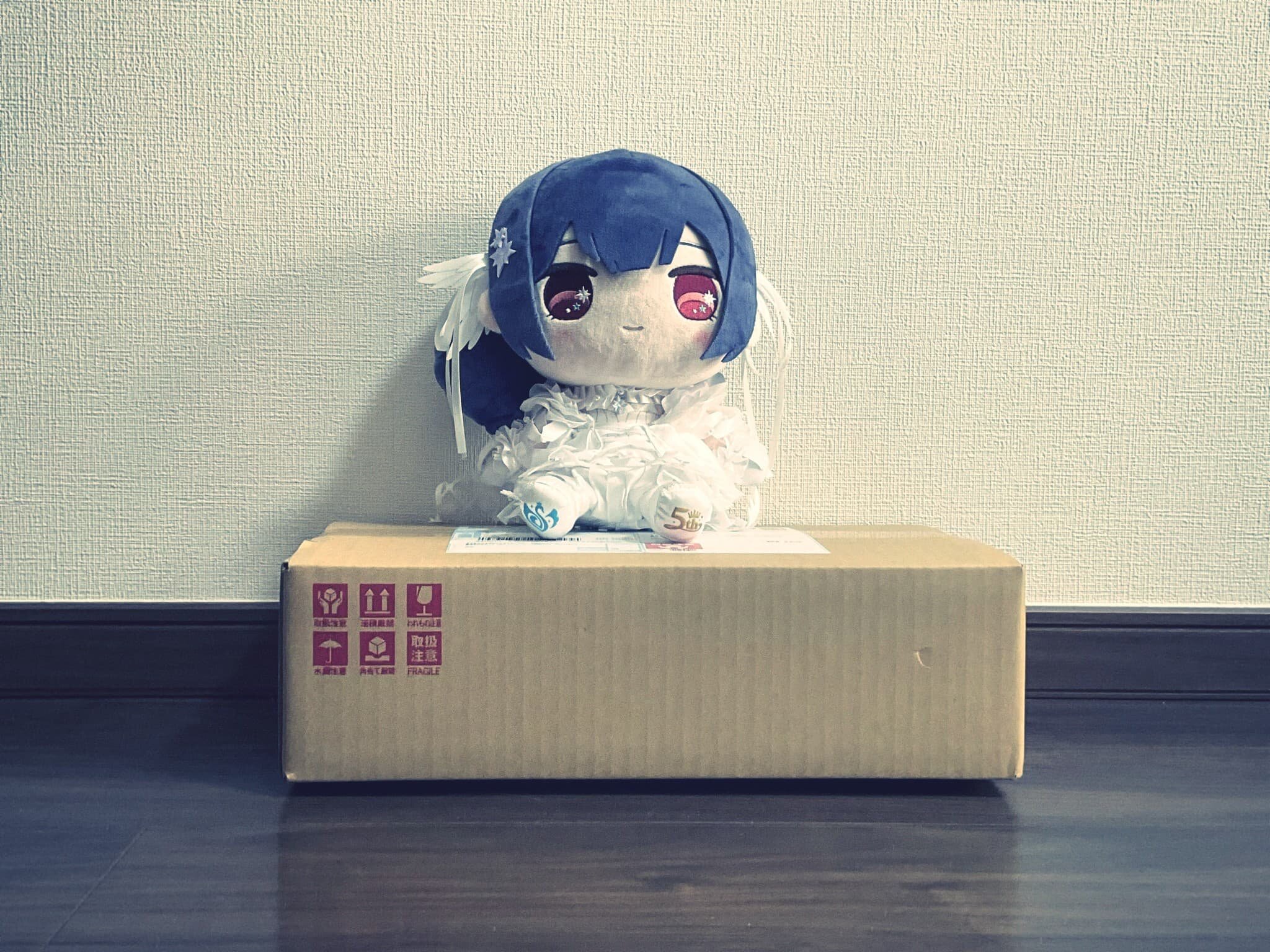 注文を失念していたプラモデルの到着と、趣味のタスク化のサムネイル画像