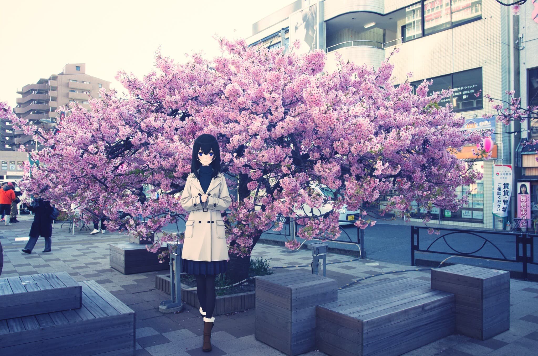 混雑が始まる前に河津桜を撮影