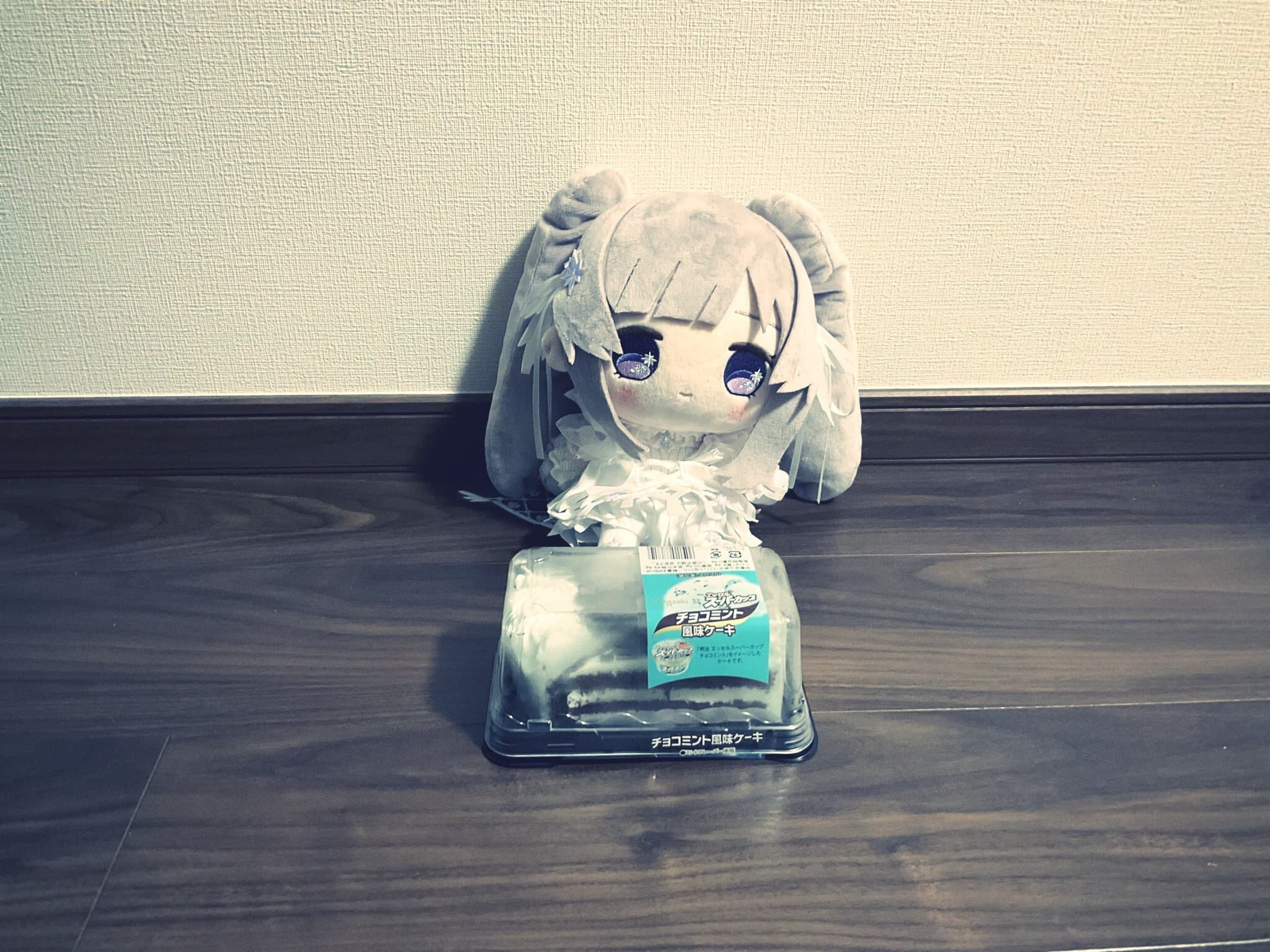 チョコミントのケーキと、次回のセブ行きのことのサムネイル画像