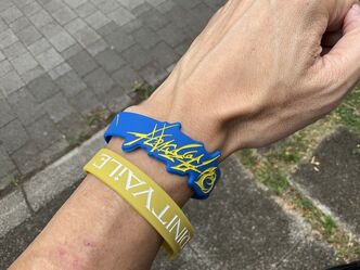 Thumbnail image for I went to the concert of Hoshimi production.