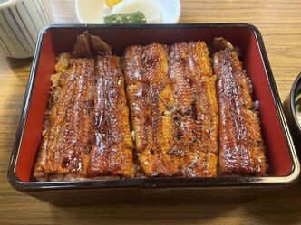 Thumbnail image for I had eel for lunch.