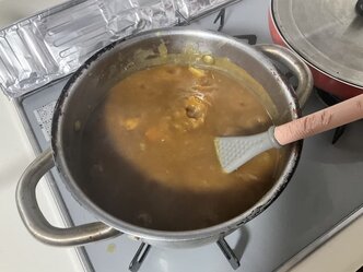 I made curry.