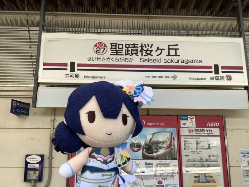I went to SeisekiSakuragaoka.