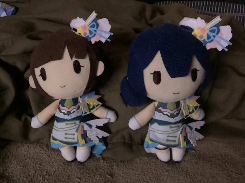 I saw a non-audience concert of Shinymas
