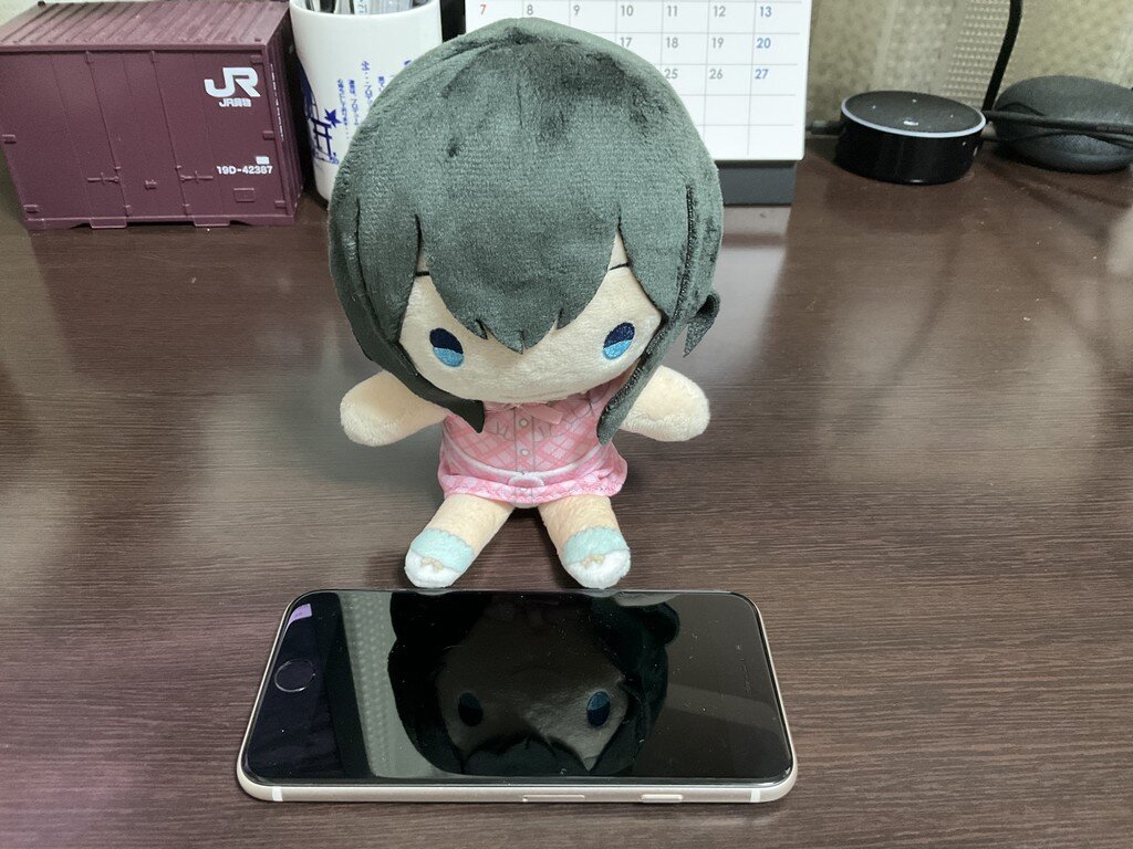 I bought an iPhone SE