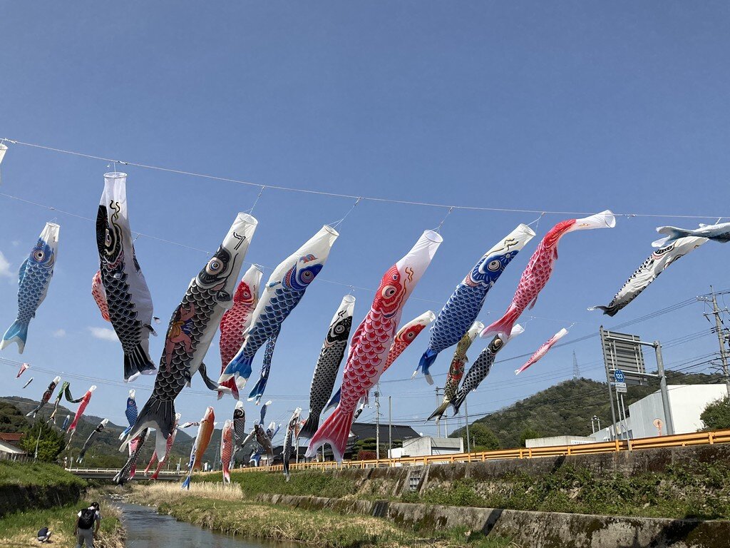 I took pictures of carp streamers.