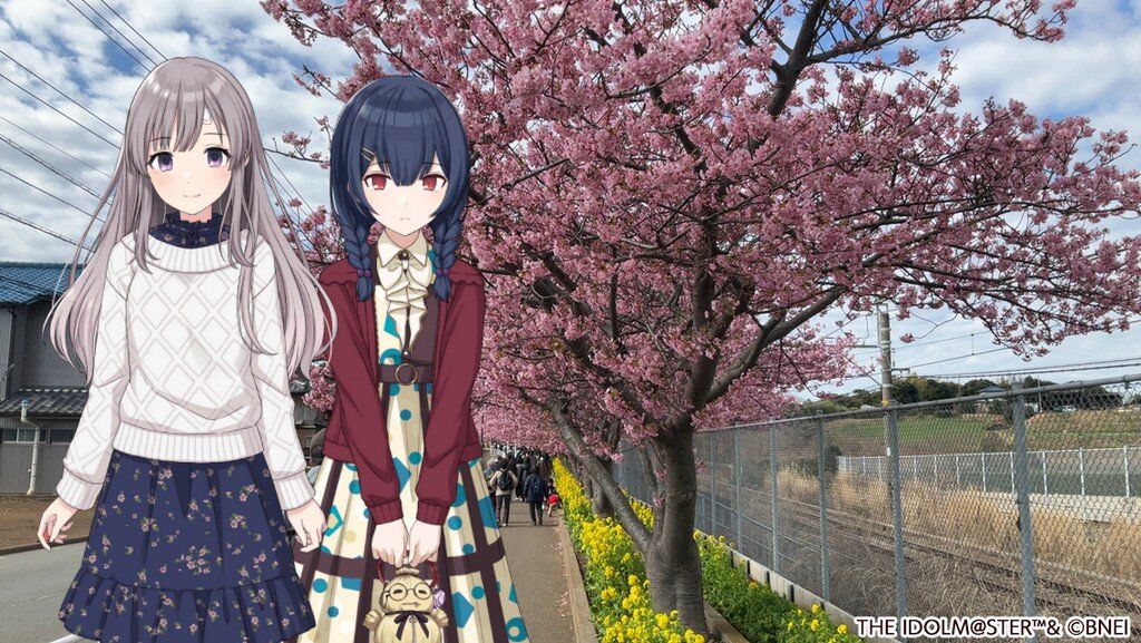 Kawazu Cherry blossom