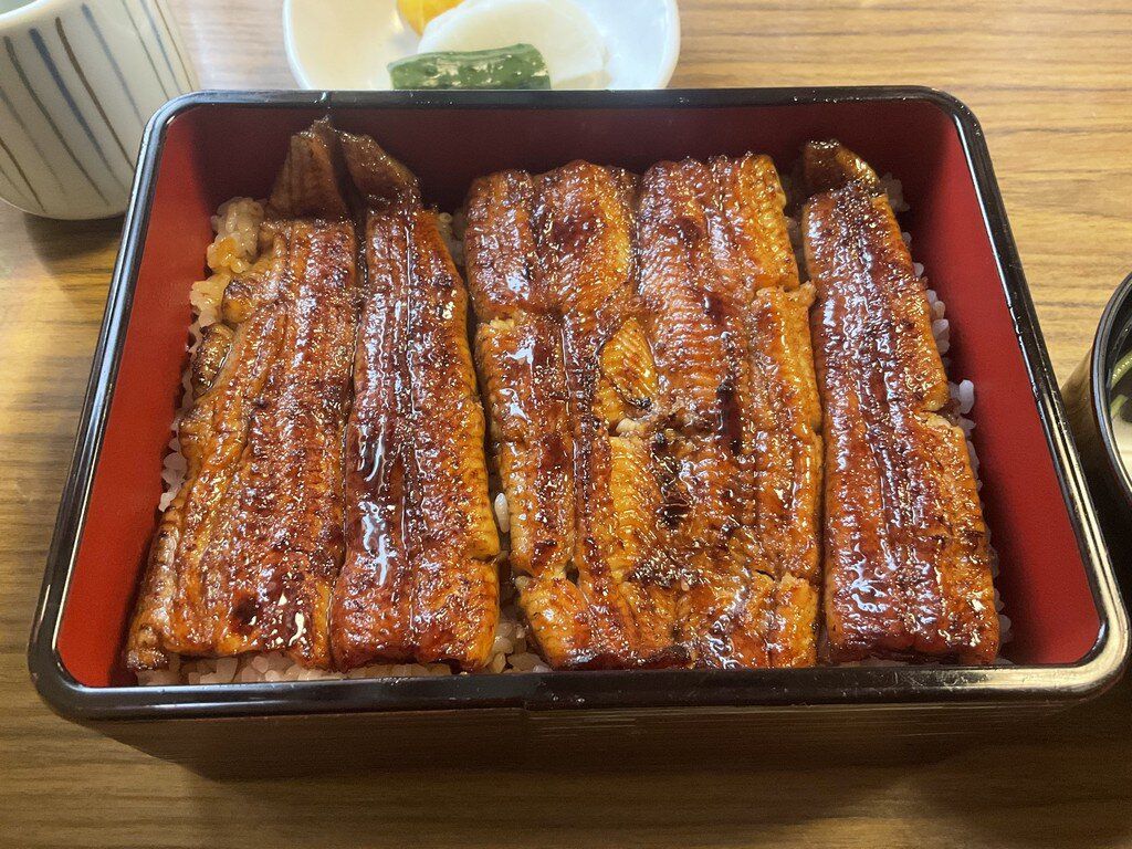 I had eel for lunch.
